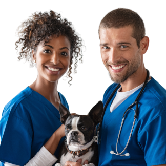 MEDICAMENTOS VETERINARIOS